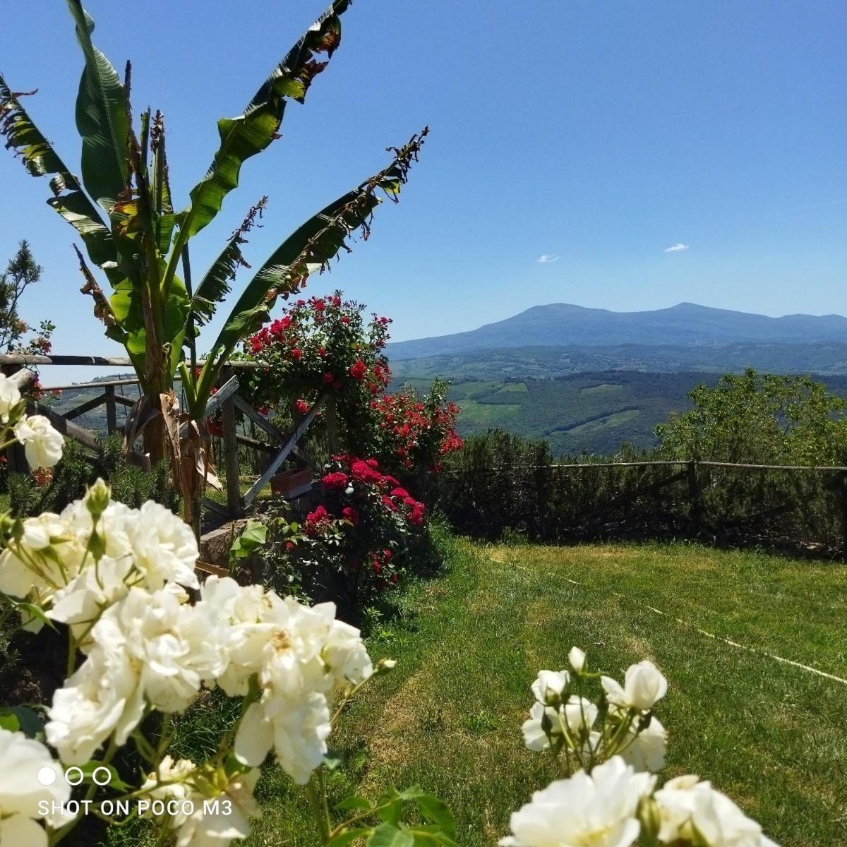 Poggio Al Vento Guest House Castiglione d'Orcia Exterior photo