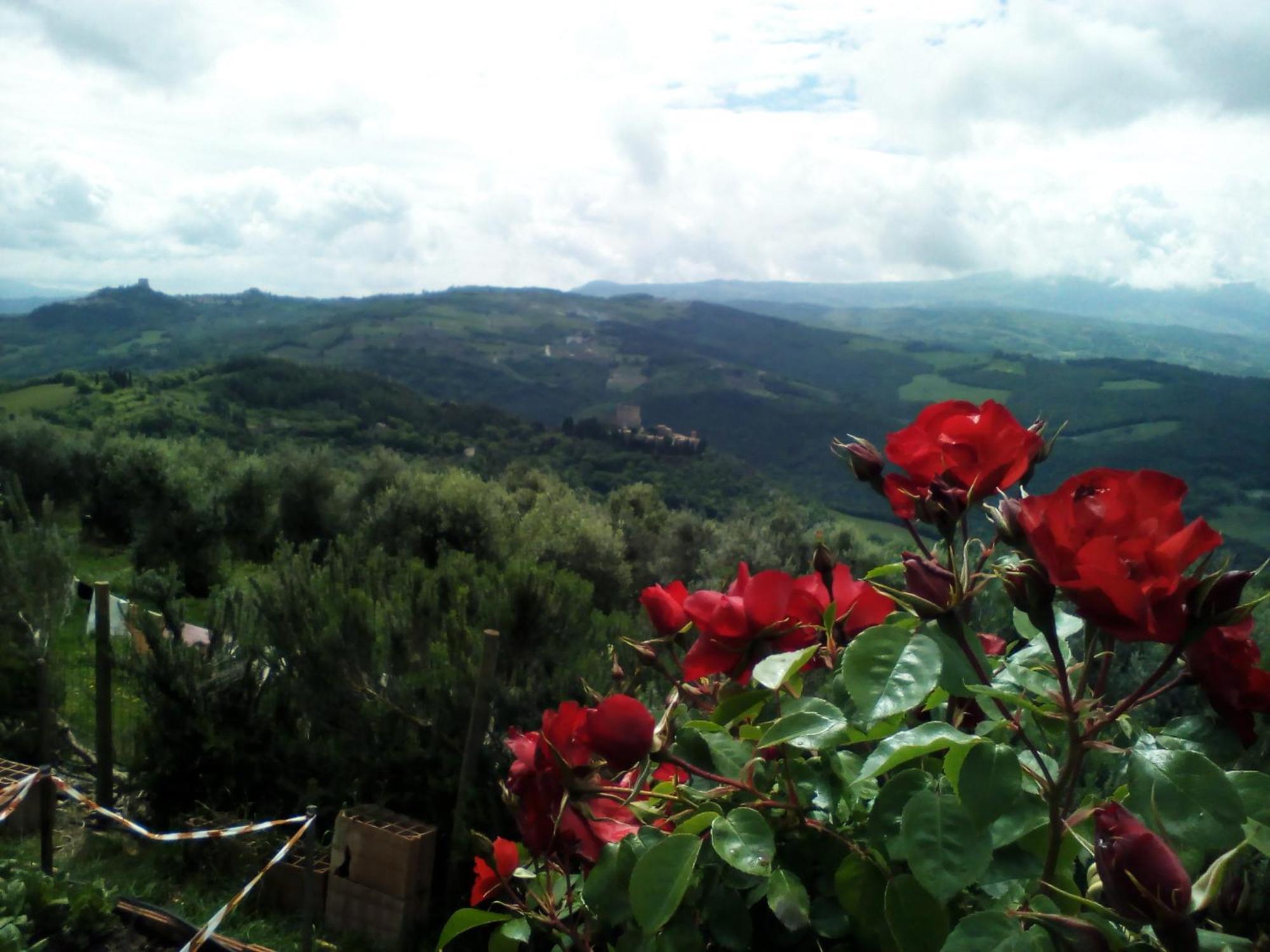 Poggio Al Vento Guest House Castiglione d'Orcia Exterior photo