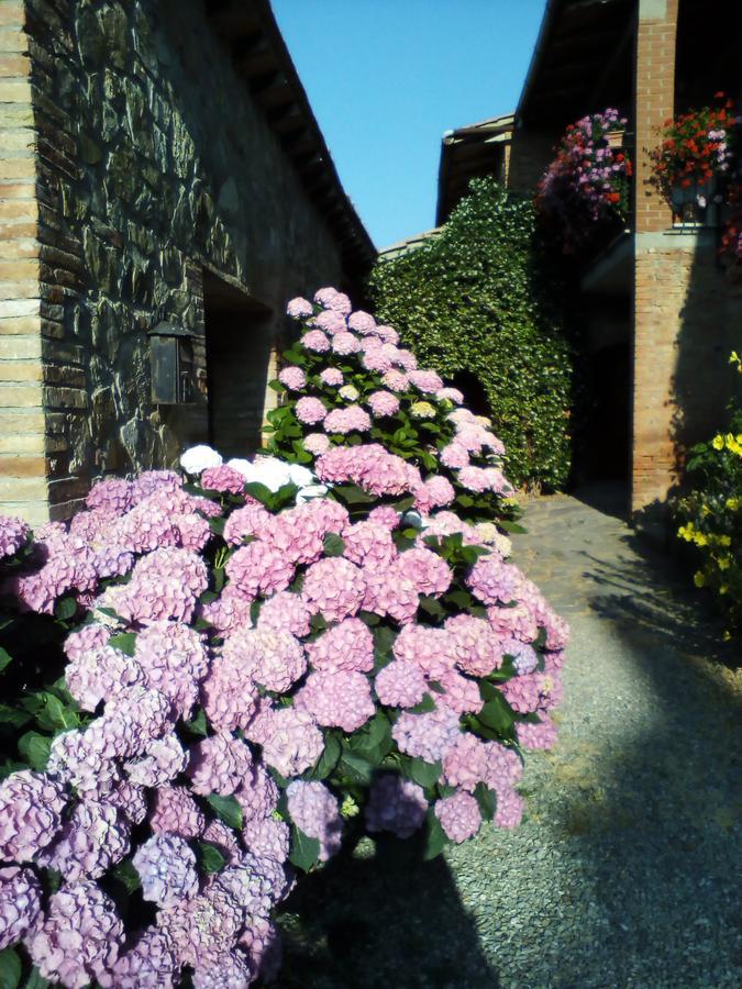 Poggio Al Vento Guest House Castiglione d'Orcia Exterior photo